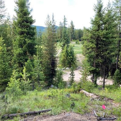 Lolo Hot Springs DGC Lolo MT UDisc Disc Golf Course Directory