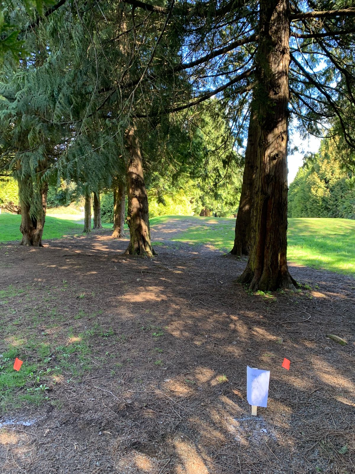 Rupert Pitch and Putt Vancouver, BC, Canada UDisc Disc Golf Course