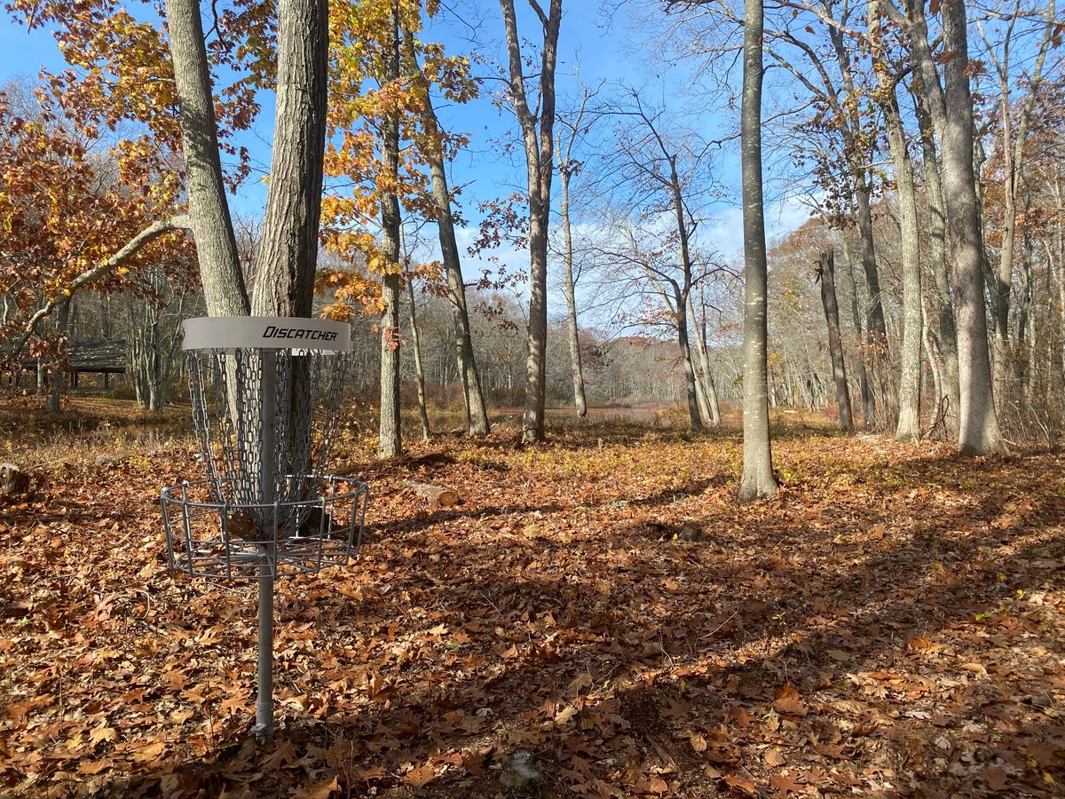 Cedar Swamp Old Saybrook, CT UDisc Disc Golf Course Directory UDisc