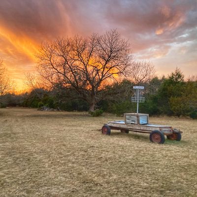 Dino Hills DG Farm - Carnivore Valley - Walnut Springs, Texas