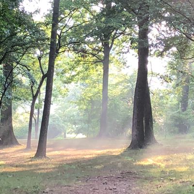 Fort Washington Disc Golf Course Fort Washington PA UDisc Disc