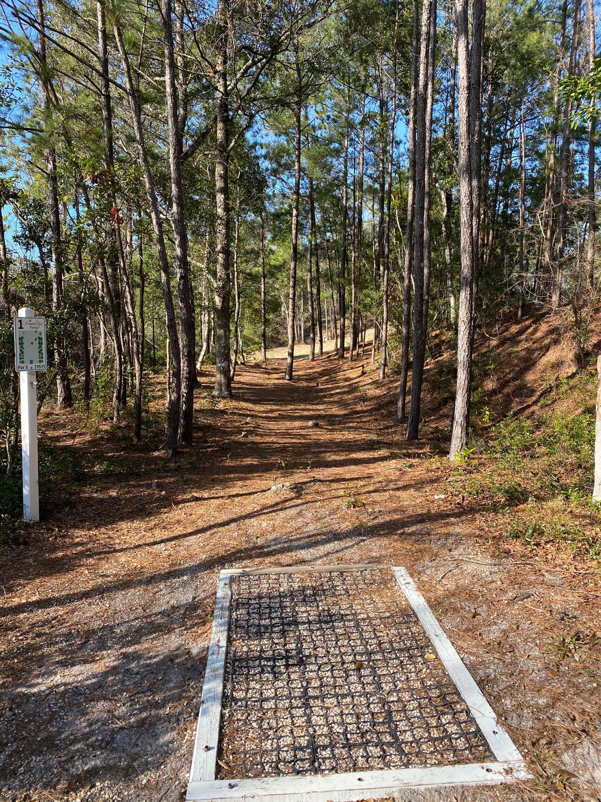 Morehead City Disc Golf - Your Guide to Disc Golf in Morehead City