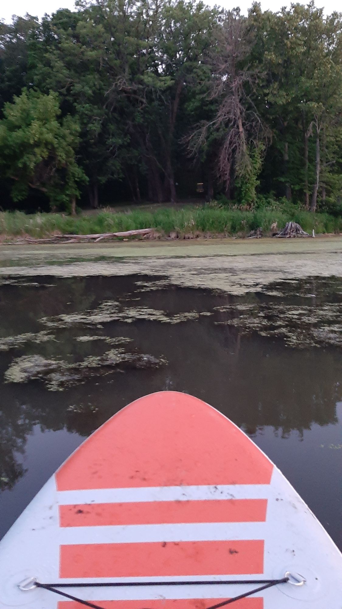 Larimore Dam Recreational Area Larimore, ND UDisc Disc Golf Course