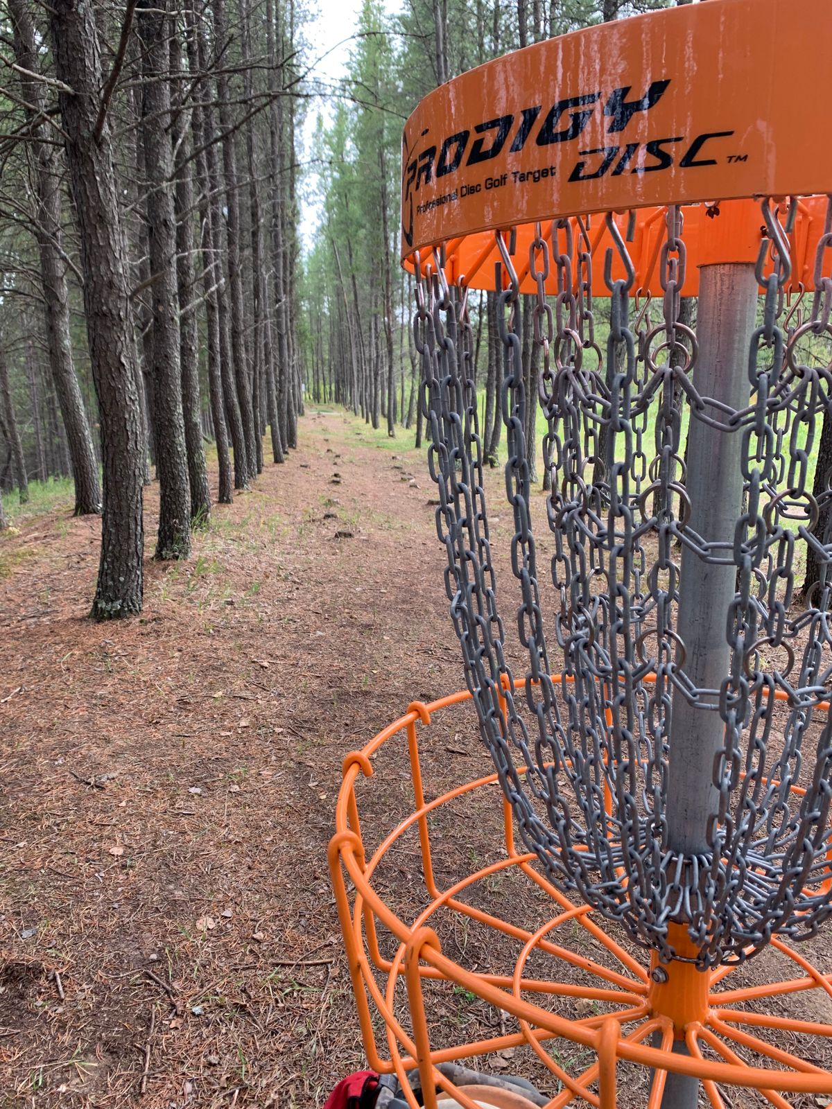 Judson Mine DGC Buhl, MN UDisc Disc Golf Course Directory UDisc