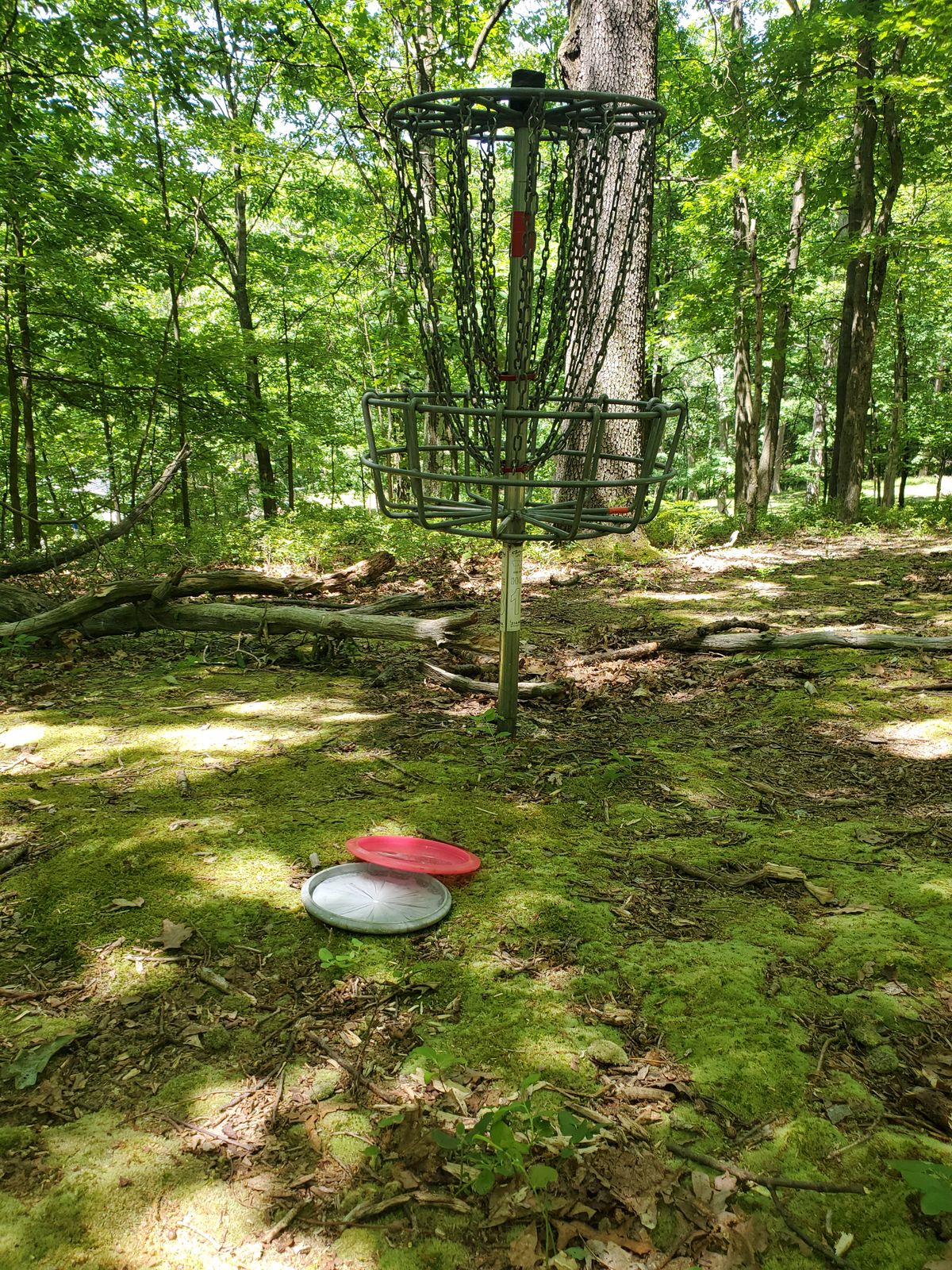Hasson Park Disc Golf Course Oil City, PA UDisc Disc Golf Course