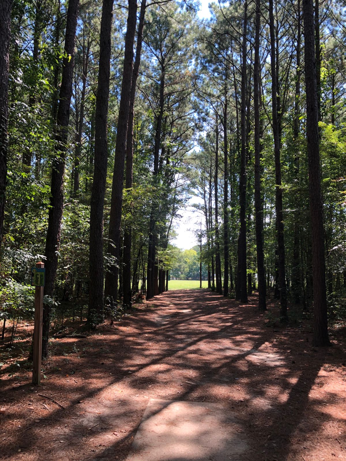 The Rez Open but ruff shape Brandon, MS UDisc Disc Golf Course