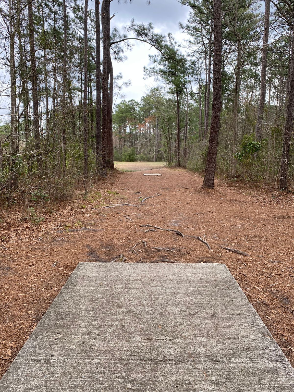 Castle Hayne Park Castle Hayne, NC UDisc Disc Golf Course Directory