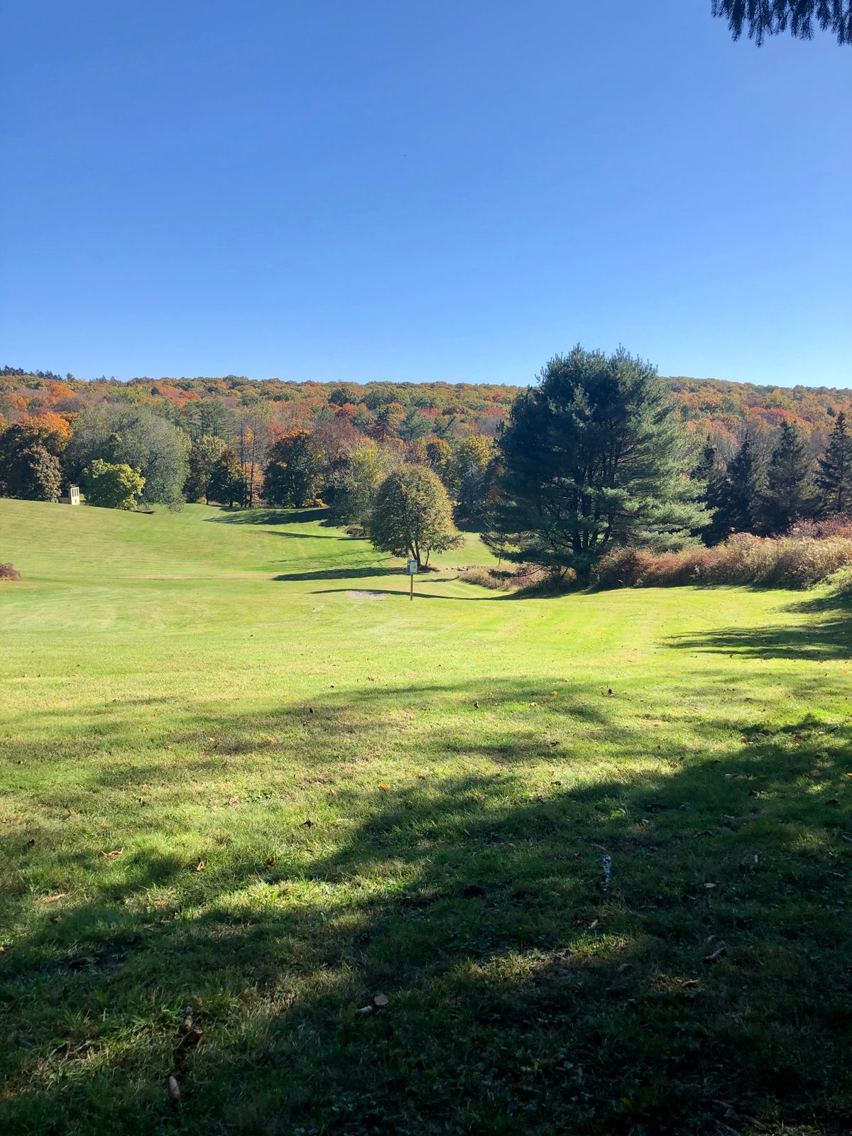 Wilcox Memorial Park Stanfordville, NY UDisc Disc Golf Course Directory