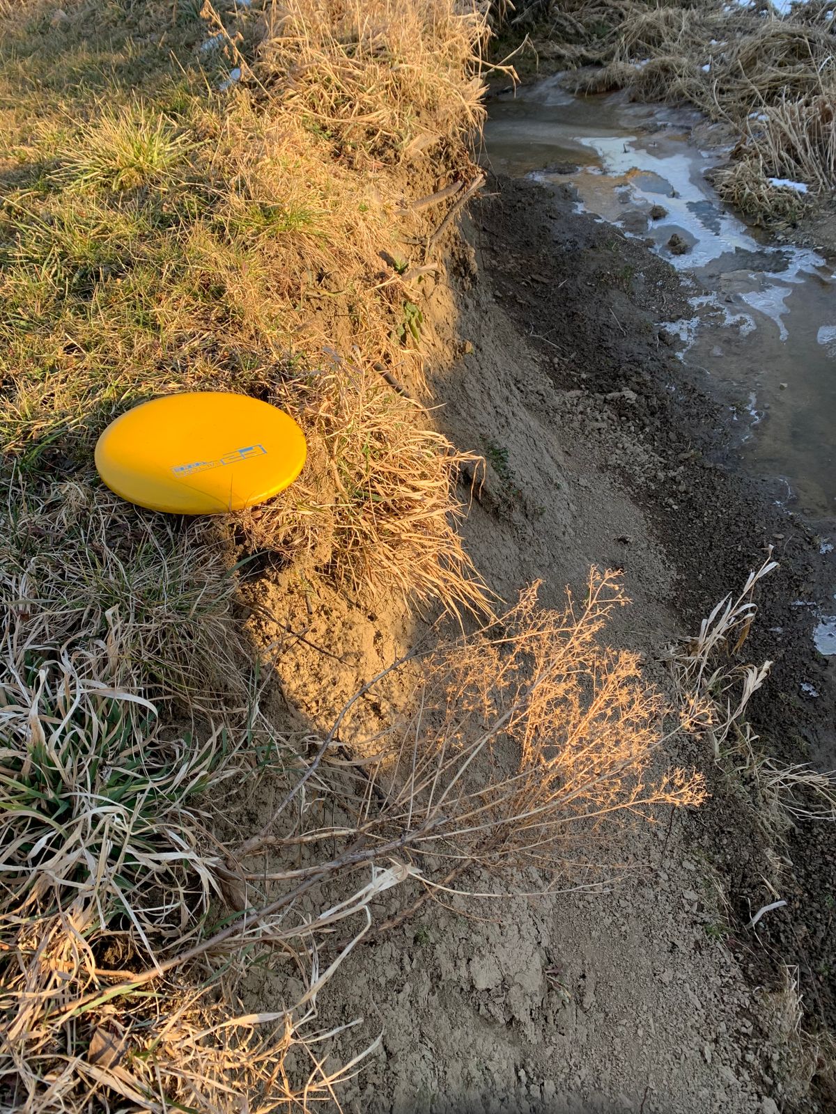 Holiday Lakes Willard, OH UDisc Disc Golf Course Directory UDisc