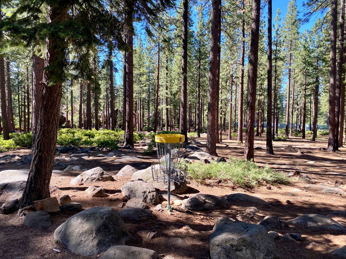 Incline Village Disc Golf - Your Guide to Disc Golf in Incline Village,  Nevada | UDisc