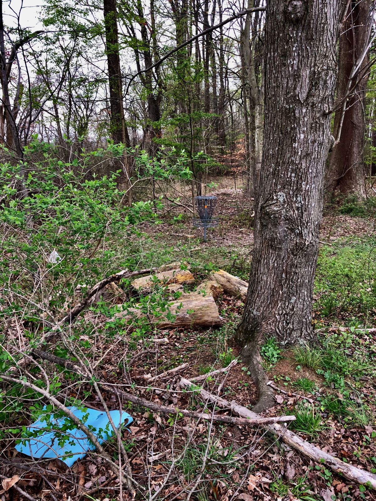 Peake Disc Golf Queenstown, MD UDisc Disc Golf Course Directory