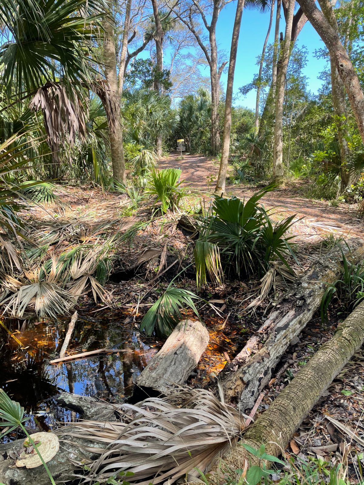 Hanna Park Jacksonville FL - 0d4da6741d40c1633f5adb57df445483 M IMG 1190