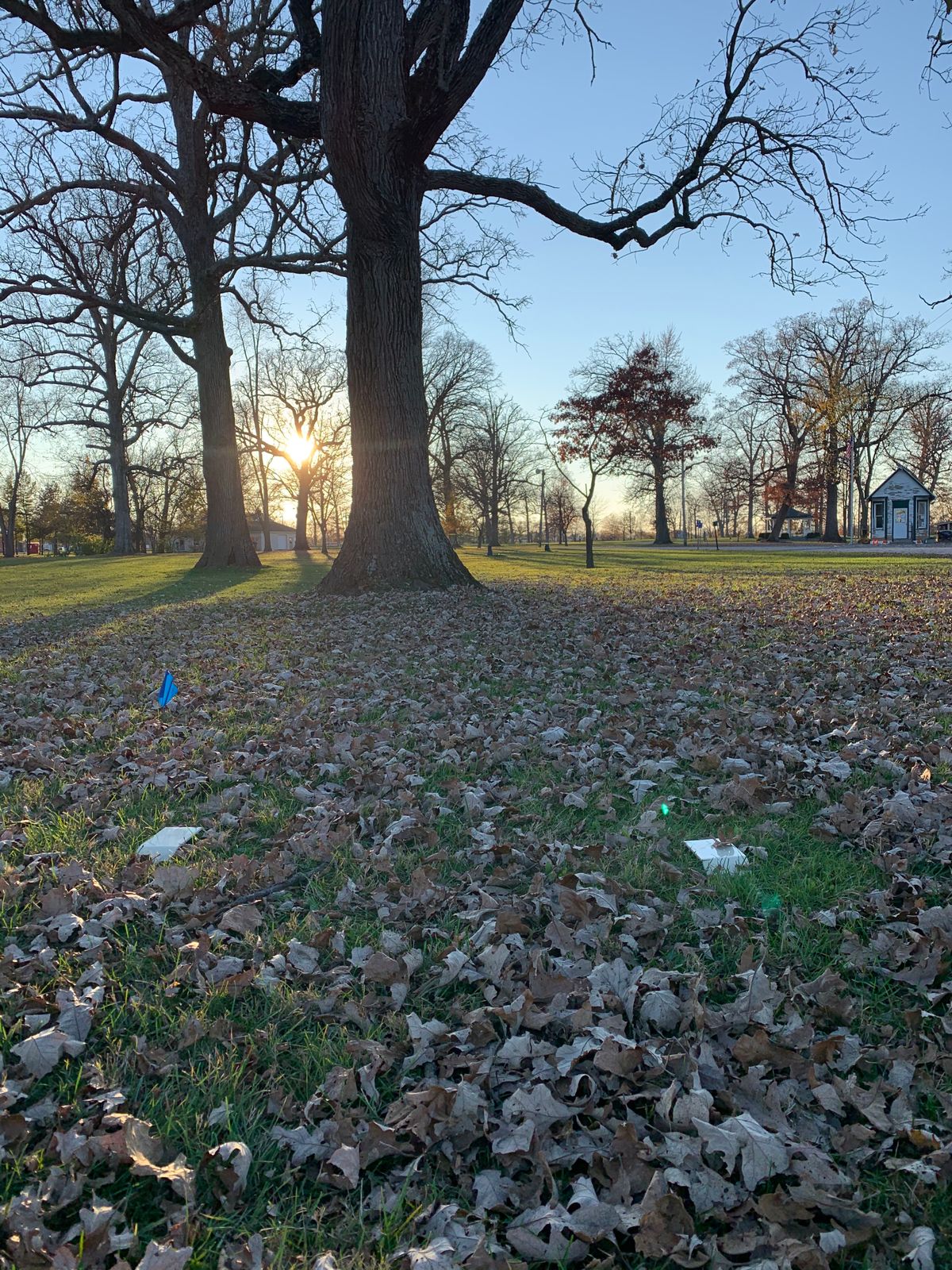 Pastime Park Plain City OH UDisc Disc Golf Course Directory