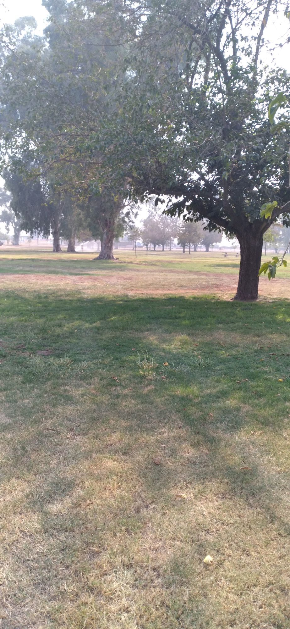 Pixley Park DGC Pixley, CA UDisc Disc Golf Course Directory