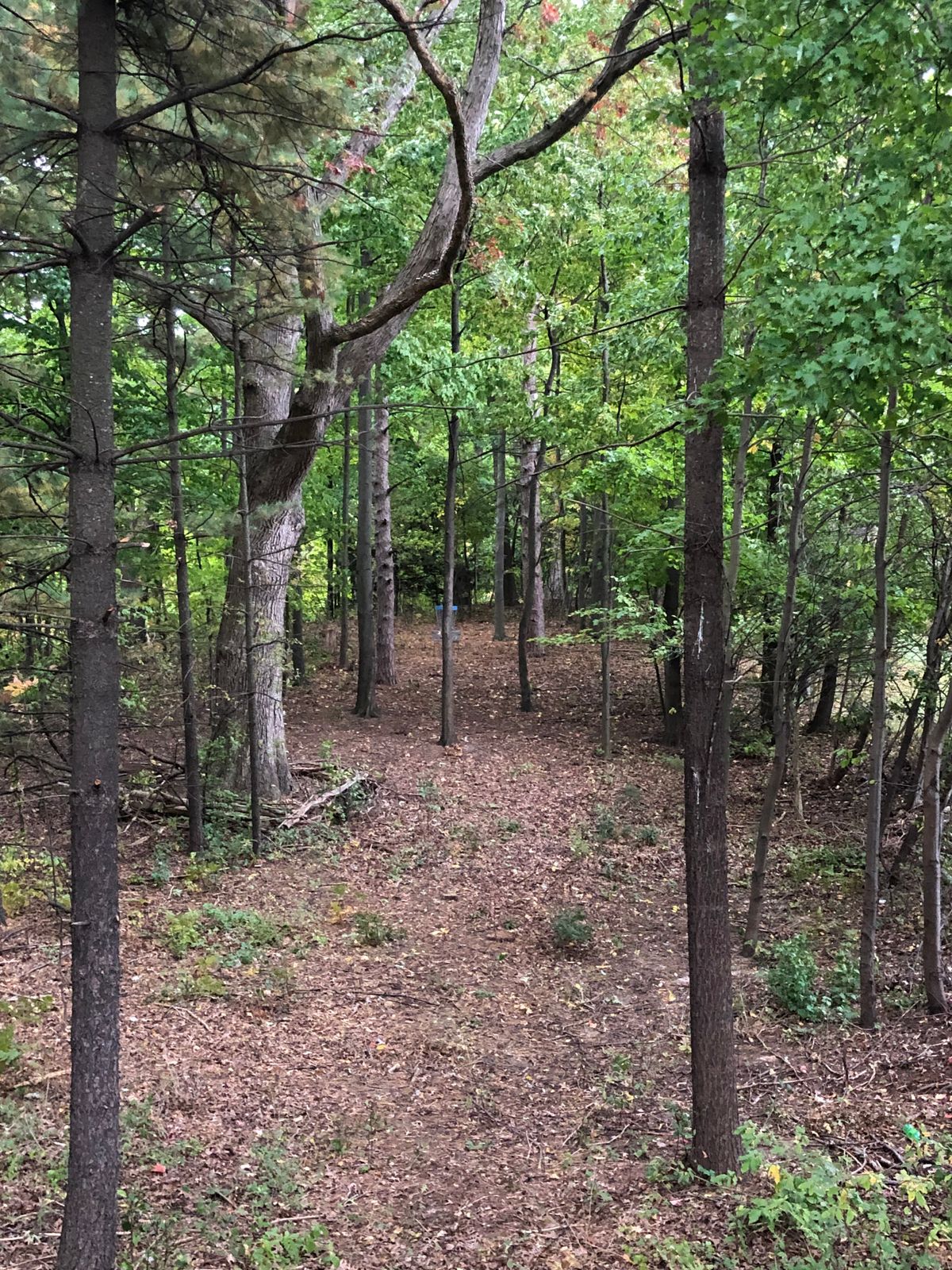 The Bridge Cornerstone Ludington, MI UDisc Disc Golf Course Directory