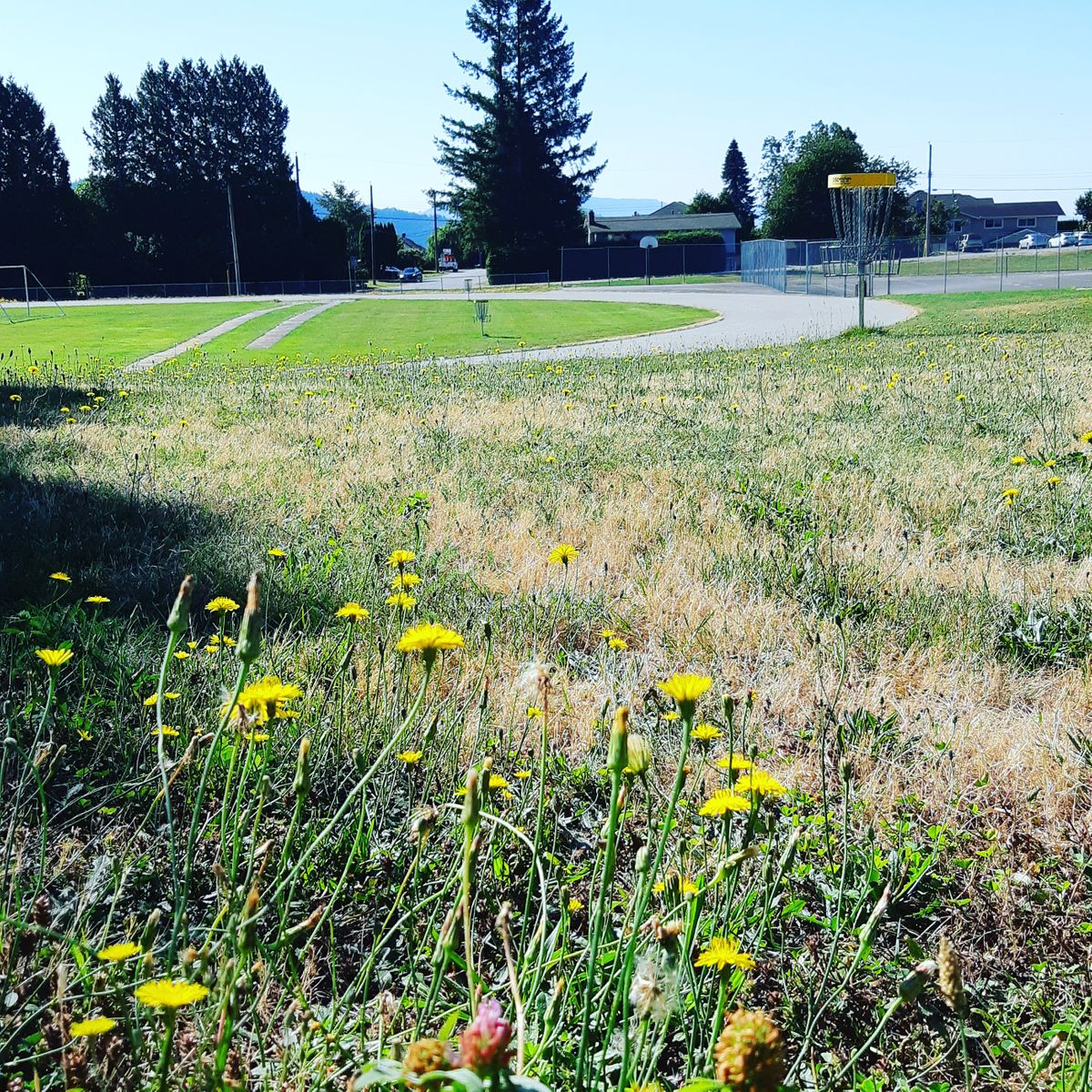 Hatzic Middle School Mission BC Canada UDisc Disc Golf Course