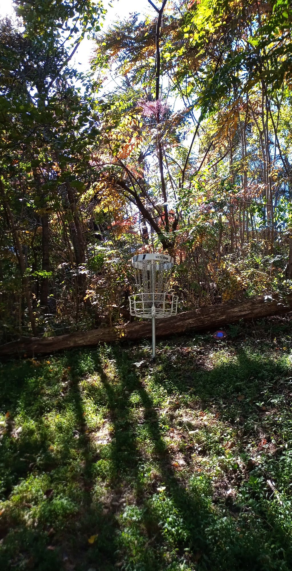 Rotary Park (Yellow)Indian Rock Huntington, WV UDisc Disc Golf