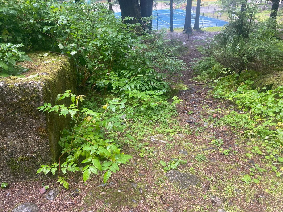 Cope Park Juneau, AK UDisc Disc Golf Course Directory