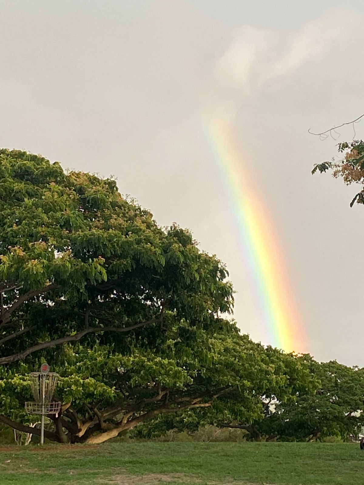 Kupuohi Public Disc Golf Park DUPLICATE Village Park Hawaii