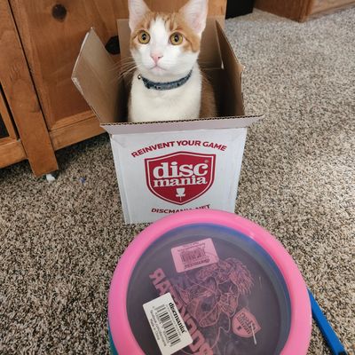 Desert Discs