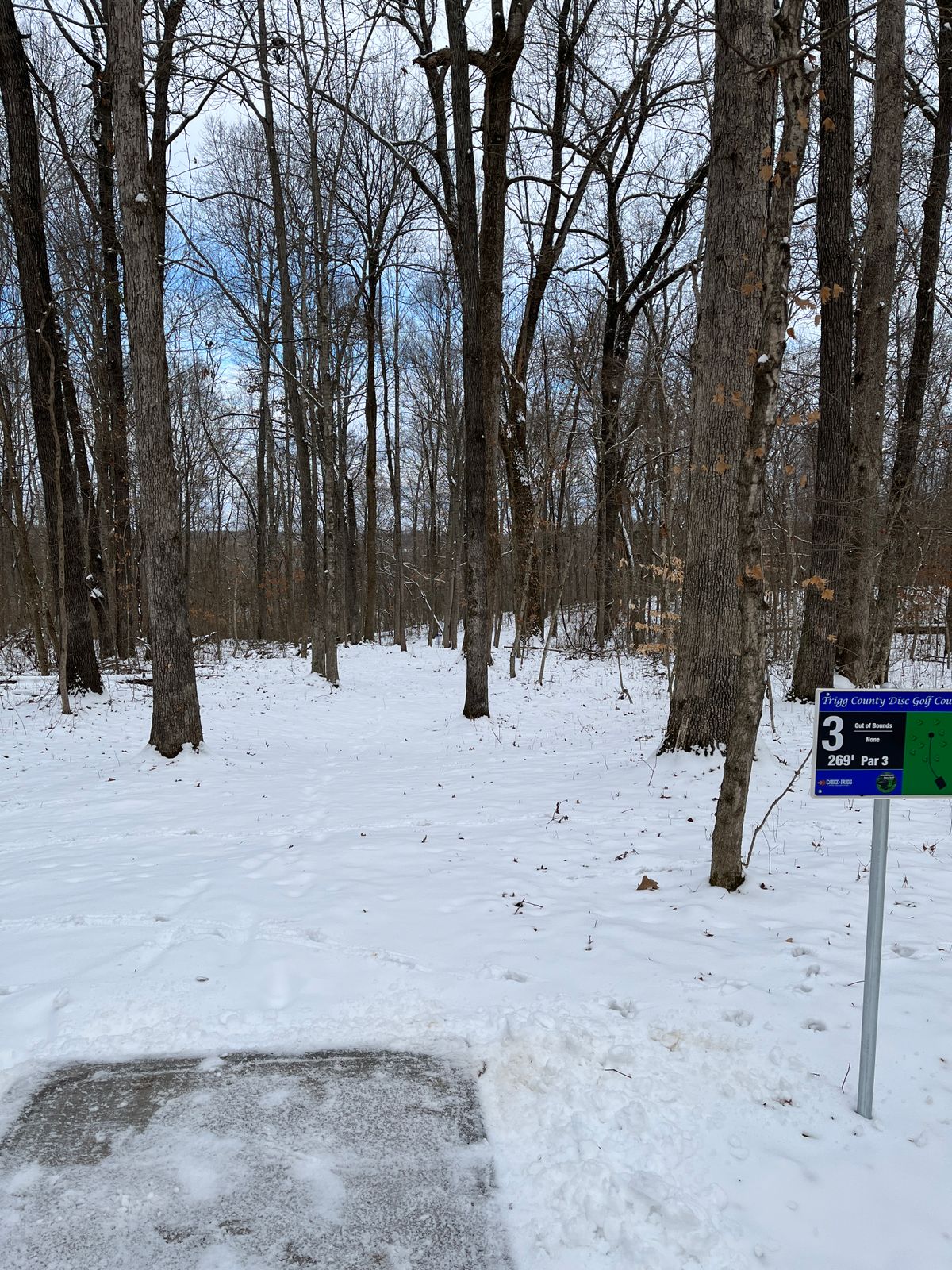 Trigg County Disc Golf Course Cadiz, KY UDisc Disc Golf Course