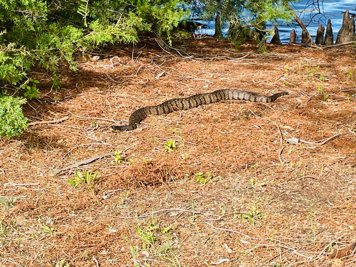 Colwich Disc Golf Your Guide to Disc Golf in Colwich, Kansas UDisc