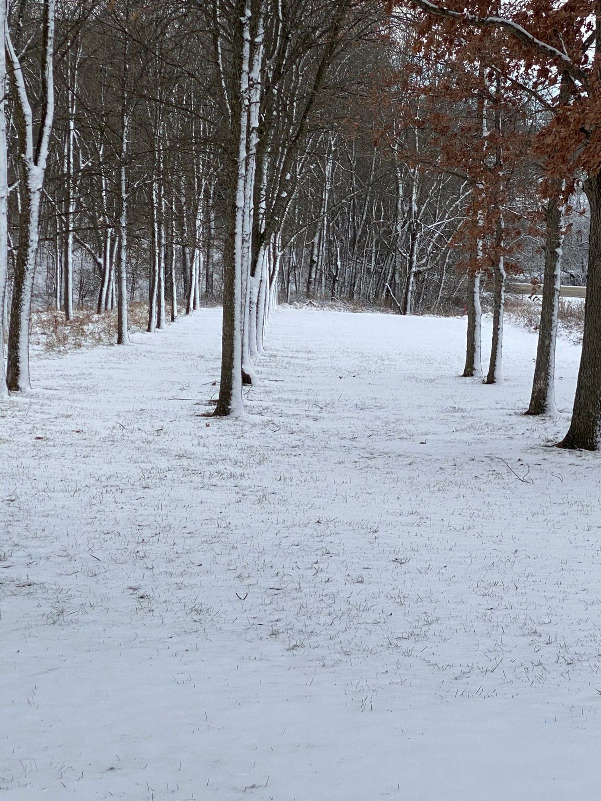 Osborne Disc Golf Course Elkader, IA UDisc Disc Golf Course Directory