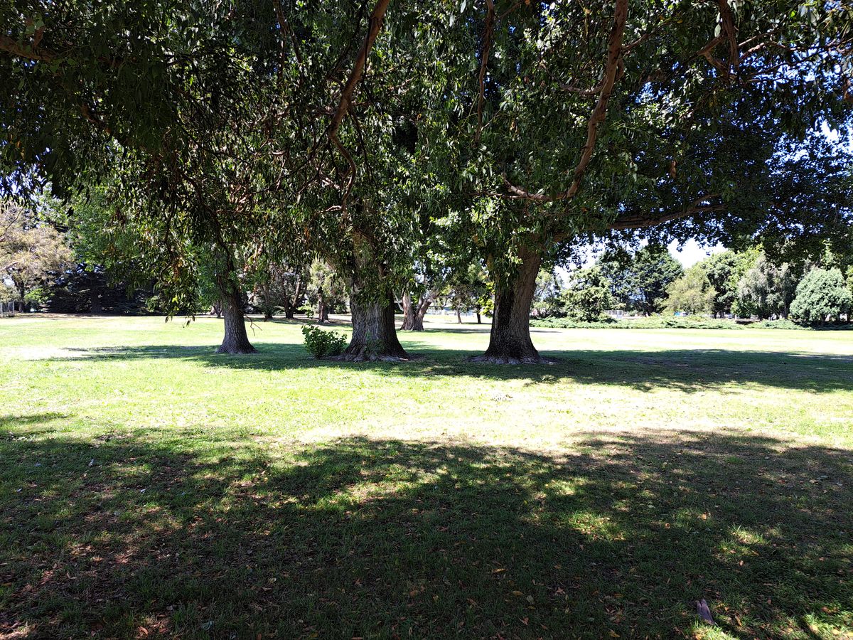 Cypress Garden Christchurch, New Zealand UDisc Disc Golf Course