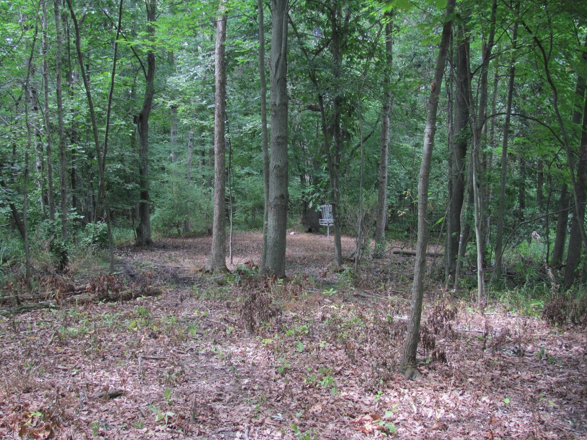 The Kingsway Maple Rapids, MI UDisc Disc Golf Course Directory UDisc