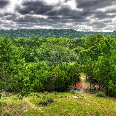 Dino Hills DG Farm - MicroRaptor - Walnut Springs, Texas | UDisc