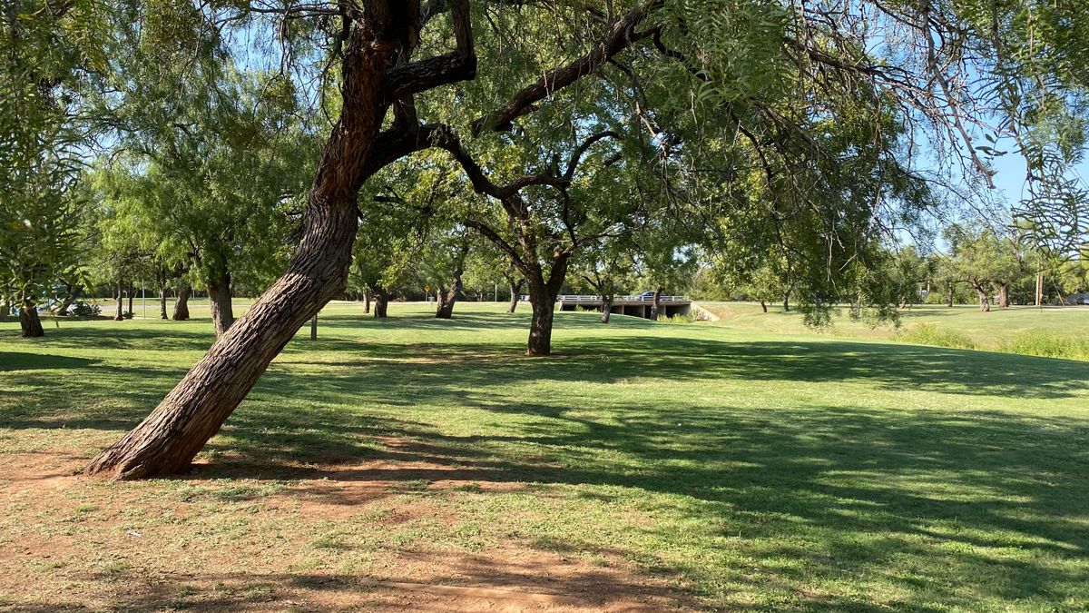 Cobb Park DGC Abilene, TX UDisc Disc Golf Course Directory UDisc