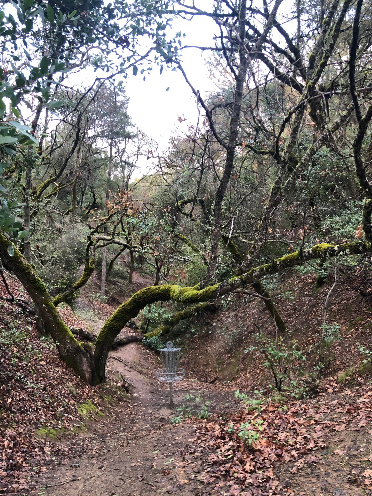 Lake Mendocino North Ukiah, CA UDisc Disc Golf Course Directory