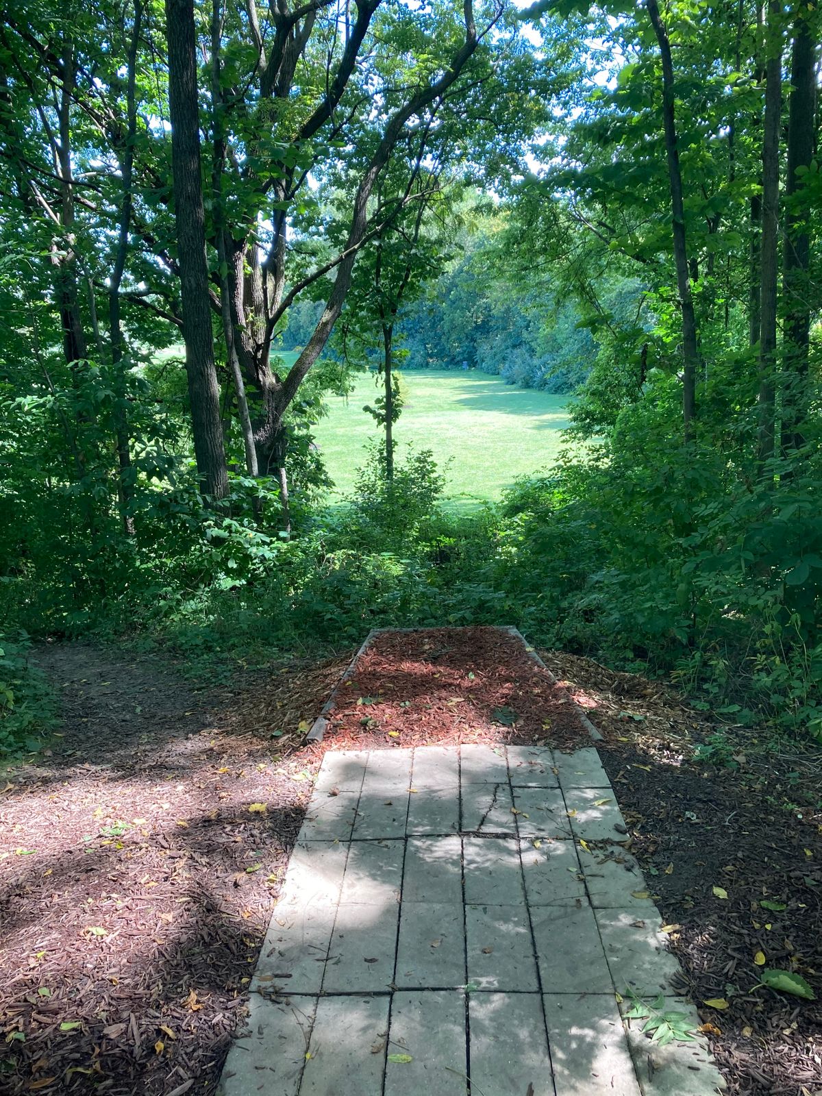 Showboat Park Chesaning, MI UDisc Disc Golf Course Directory