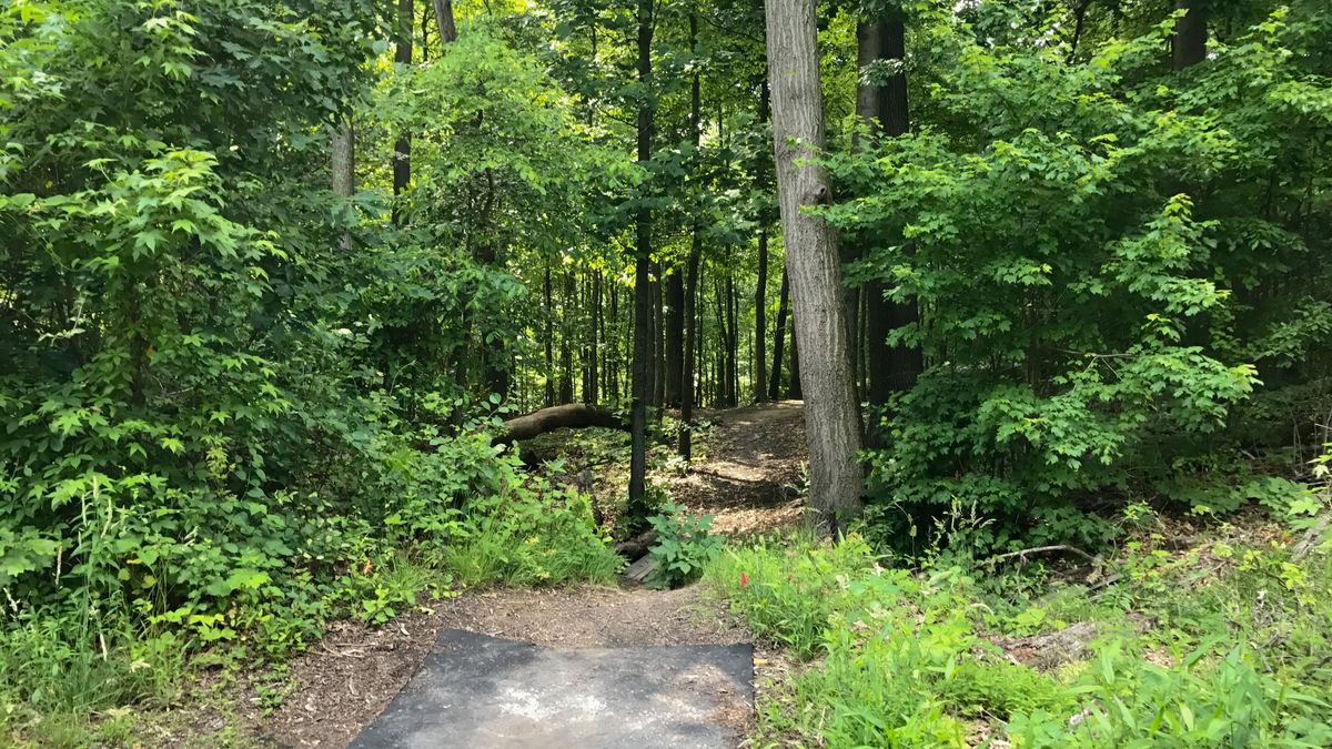 Canby Park West Wilmington, DE UDisc Disc Golf Course Directory