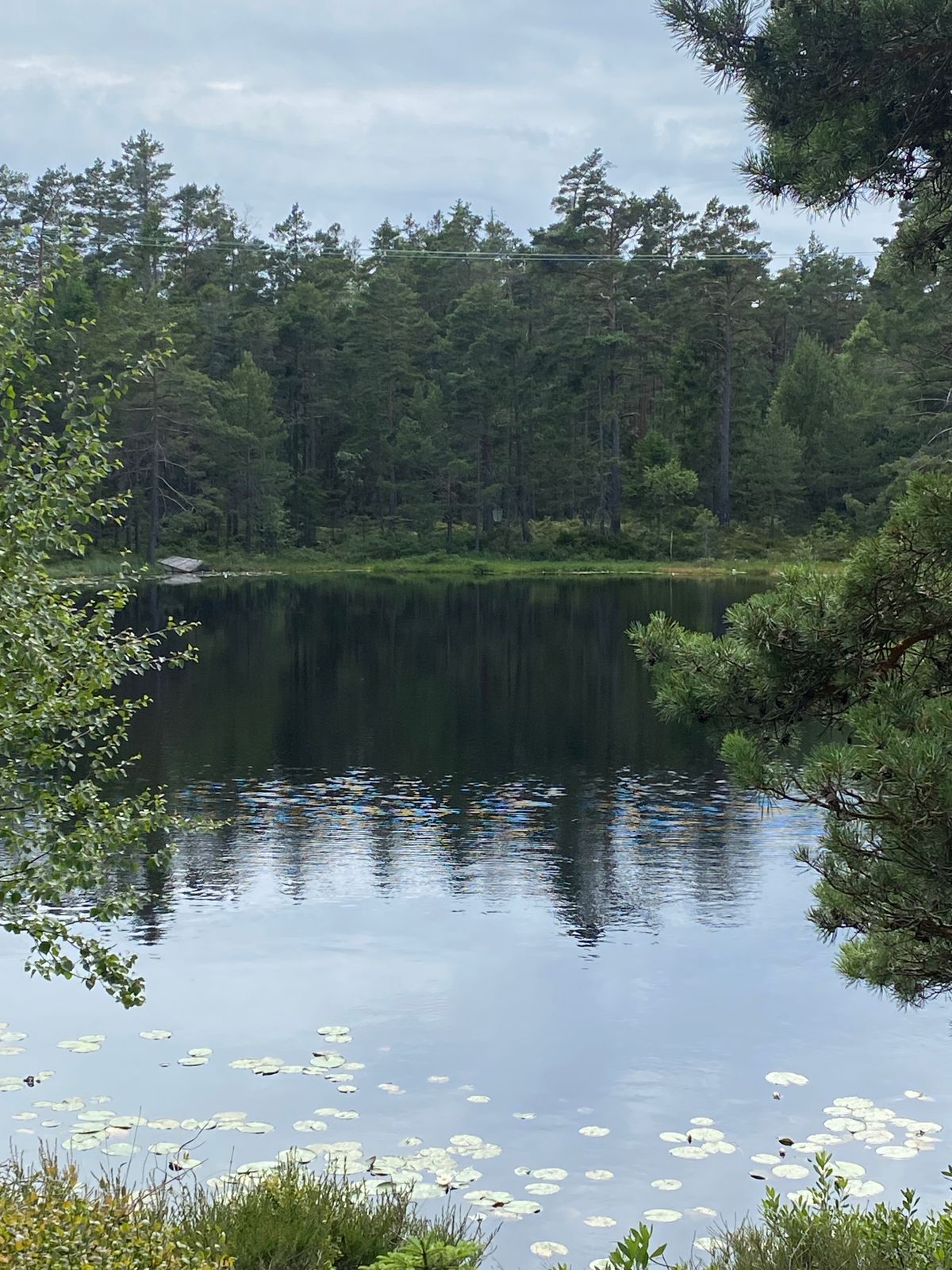 Hope IL Discgolfbane - Risør, Norway | UDisc Disc Golf Course Directory