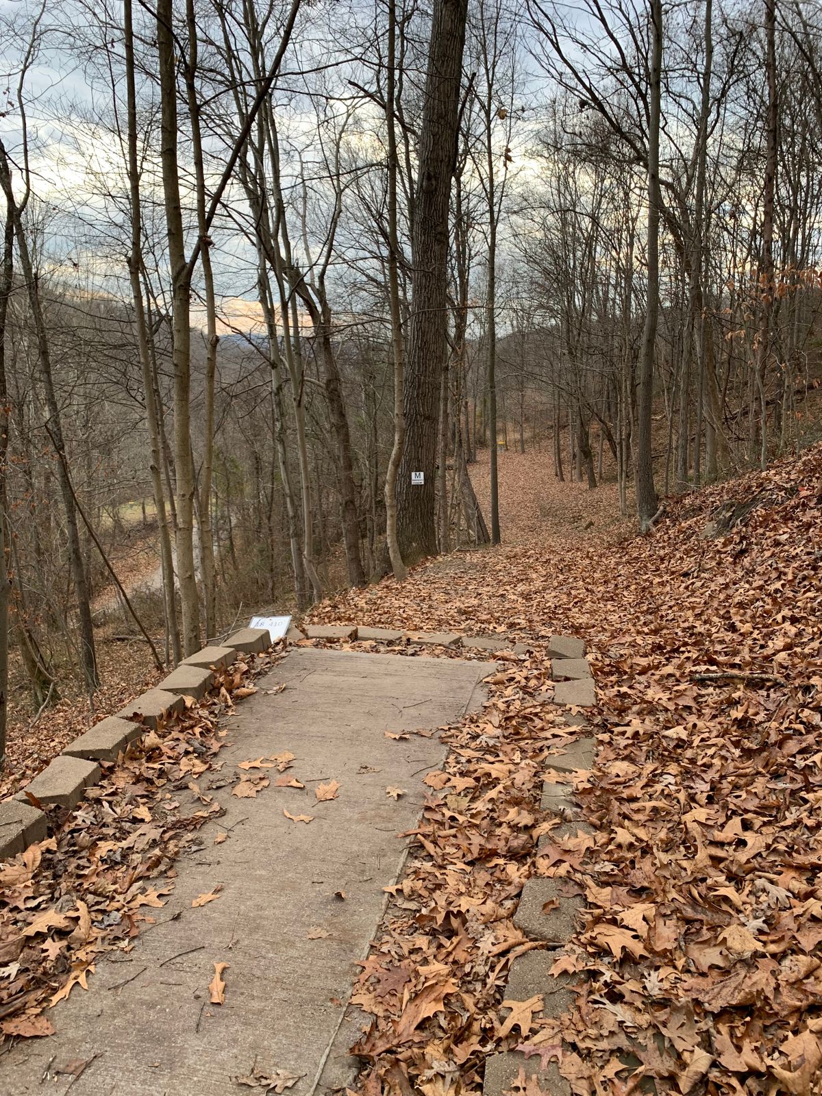 Wine Cellar Dunbar, WV UDisc Disc Golf Course Directory UDisc