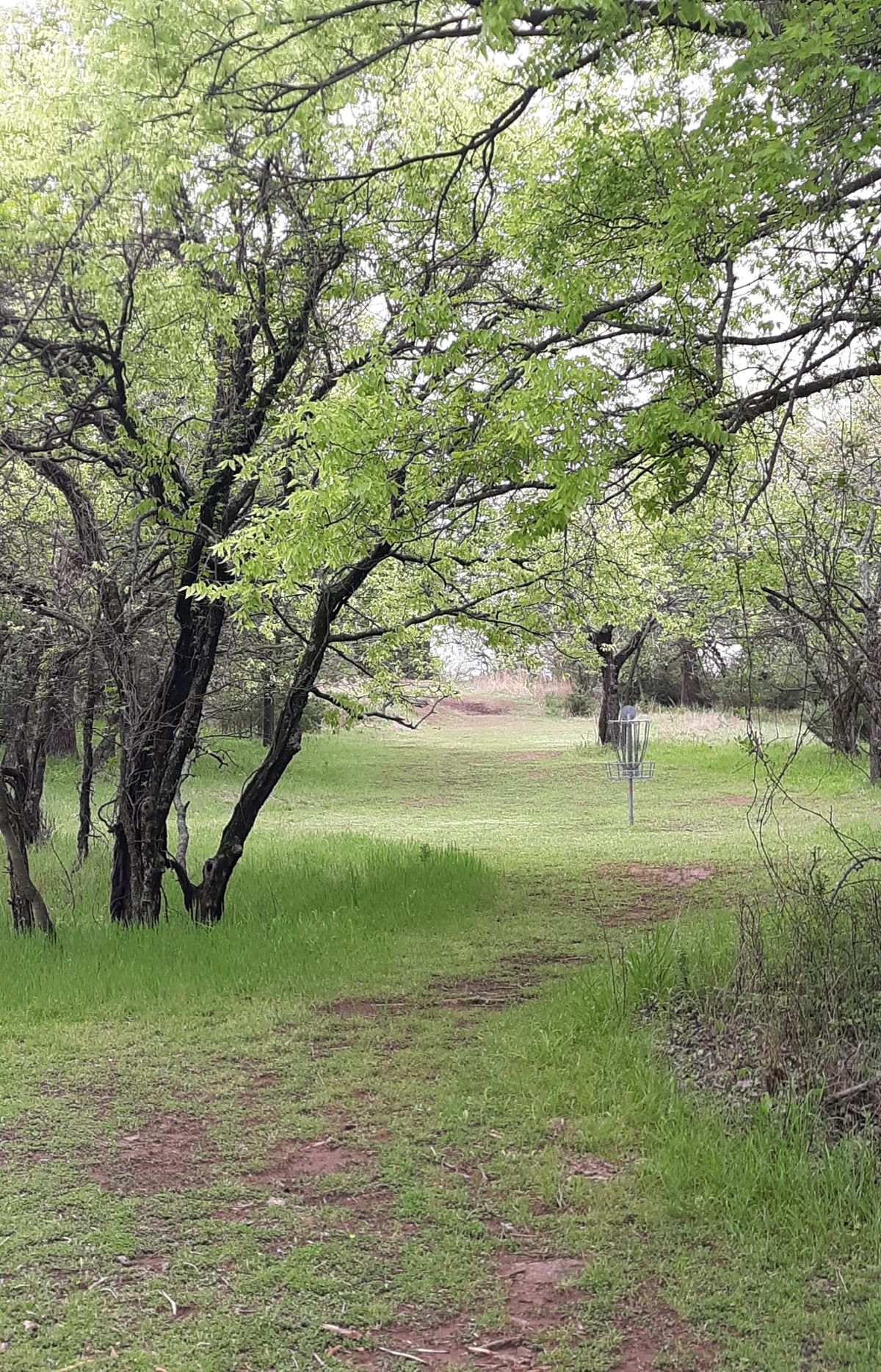 Arcadia Lake Red Course Edmond, OK UDisc Disc Golf Course Directory