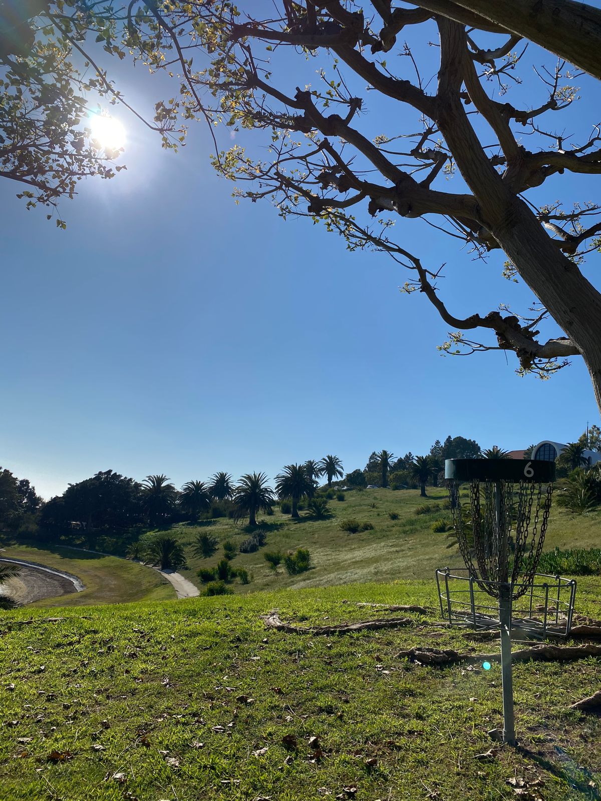 Pepperdine Courses - rw8370o