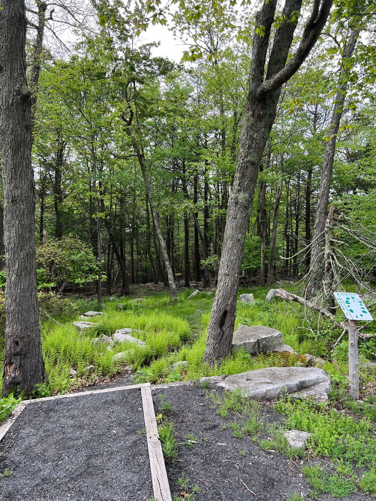 Mohonk Mountain High Falls, NY UDisc Disc Golf Course Directory