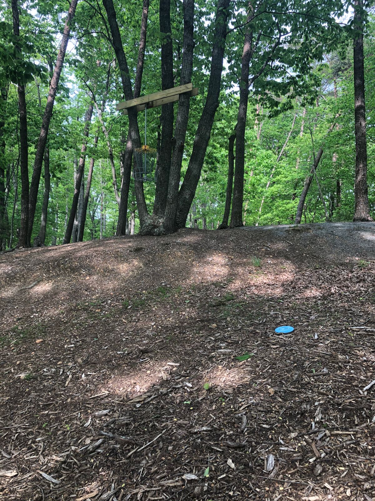 Cannon Ridge Par 2 Fredericksburg, VA UDisc Disc Golf Course Directory