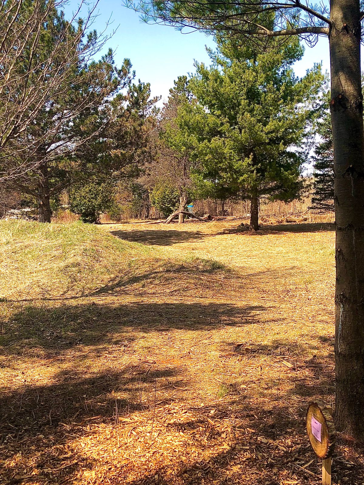 Eastview Park DGC Guelph, ON, Canada UDisc Disc Golf Course