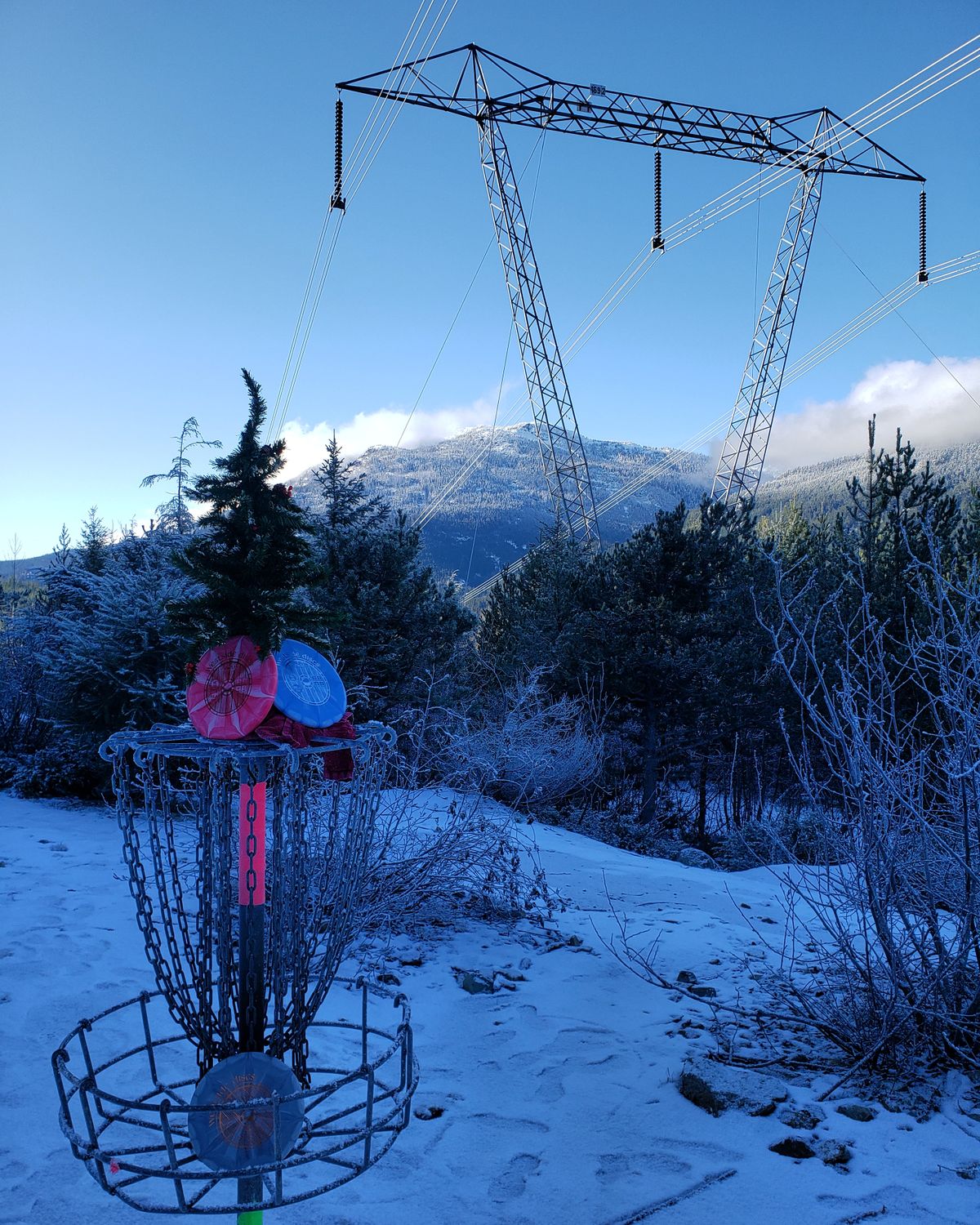Whistler Disc Golf Course Whistler, BC, Canada UDisc Disc Golf