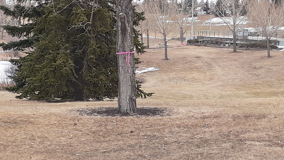 Millwoods Park Object Course - Edmonton, AB, Canada | UDisc Disc Golf ...