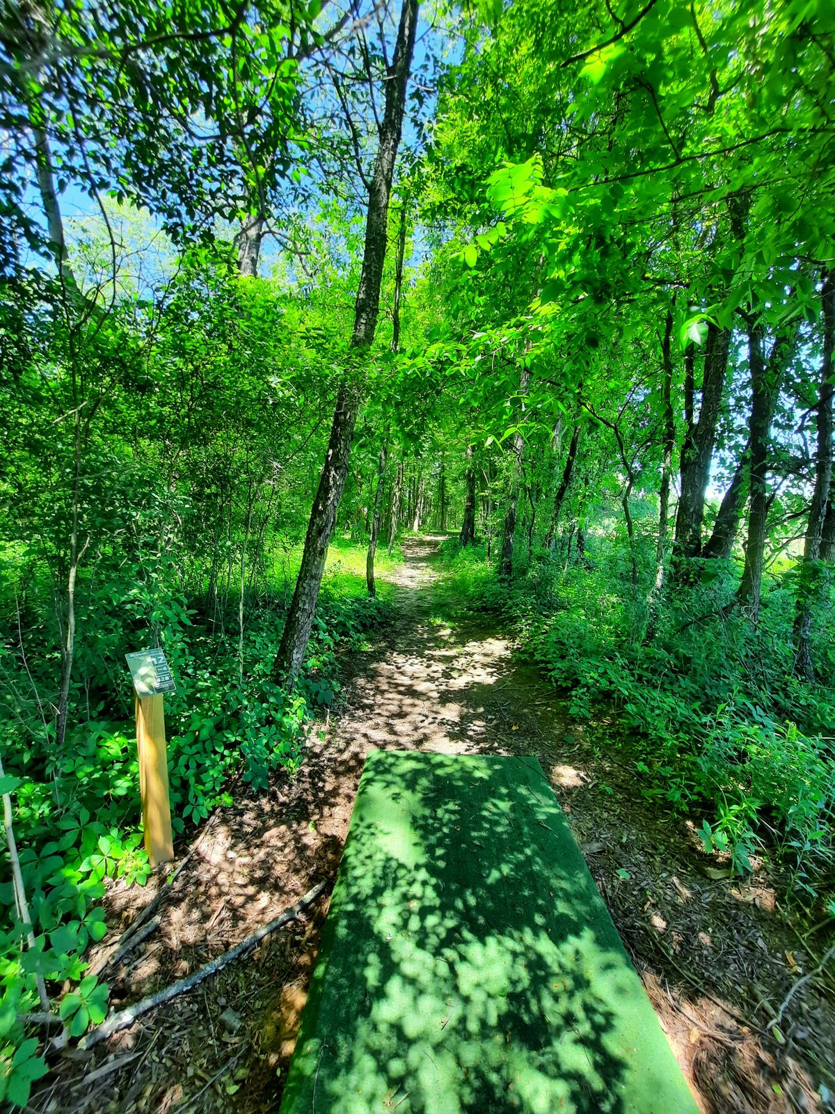 Lincoln Lake Gowen, MI UDisc Disc Golf Course Directory