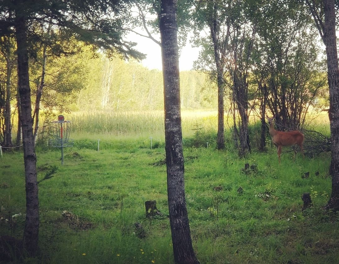 Rainy River International Falls, MN UDisc Disc Golf Course Directory