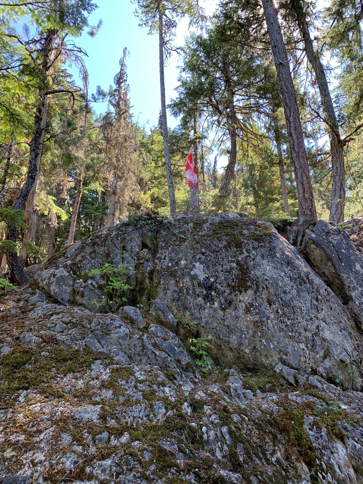Whistler Disc Golf Course Whistler, BC, Canada UDisc Disc Golf