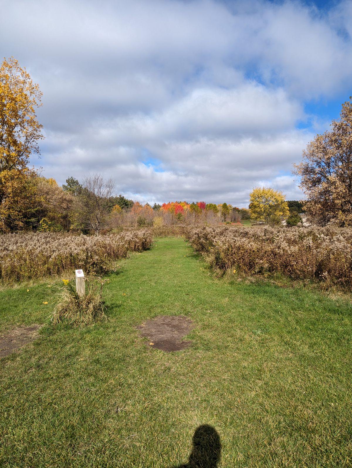 Pittock Conservation Area Woodstock, ON, Canada UDisc Disc Golf