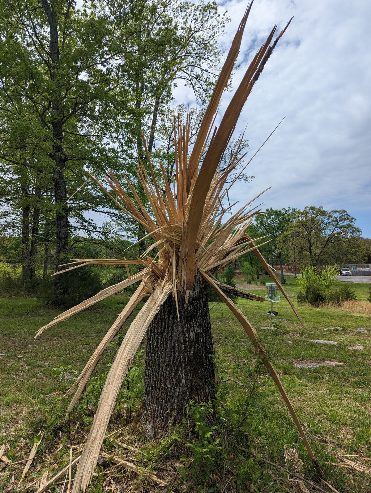 Hop Springs Beer Park Murfreesboro, TN UDisc Disc Golf Course Directory