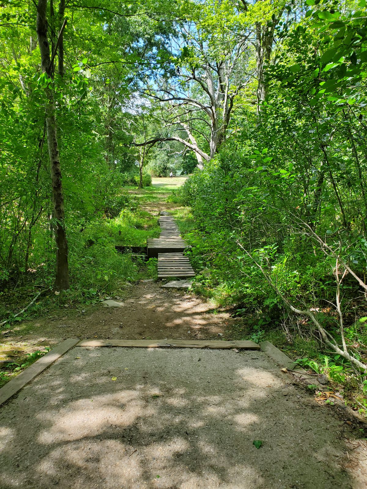 West Thompson Lake Thompson, CT UDisc Disc Golf Course Directory