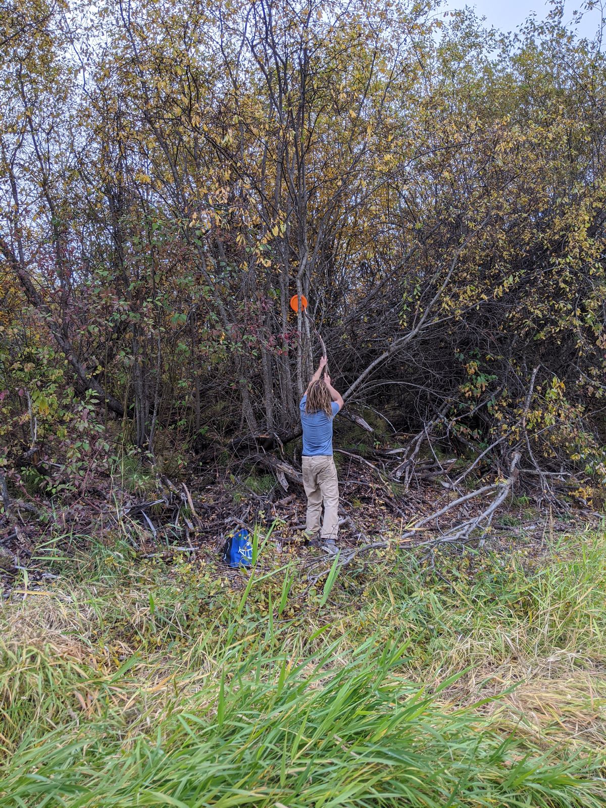 Vanderhoof Vanderhoof, BC, Canada UDisc Disc Golf Course Directory